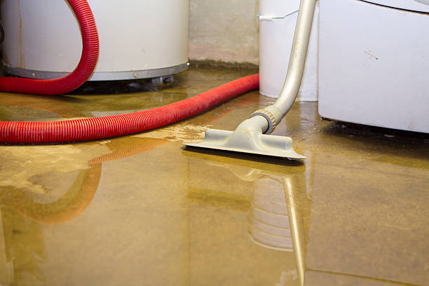 Best Water damage restoration company  in Harrington Park, NJ