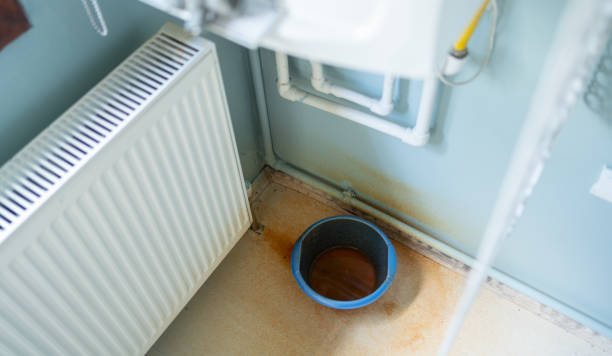 Best Flood restoration services  in Harrington Park, NJ