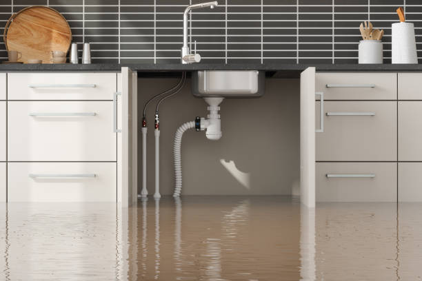 Best 24/7 water damage repair  in Harrington Park, NJ