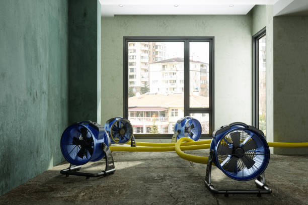 Best Water damage restoration near me  in Harrington Park, NJ